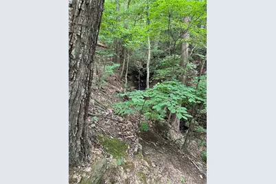 1225 Oglethorpe Road, Jasper, GA 30143 - Photo 26