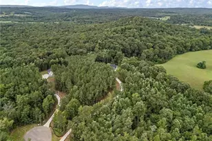 110 Jerusalem Farms Trail, Jasper, GA 30143 - Photo 40