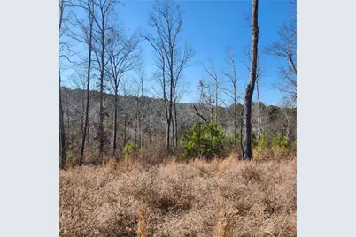 0 Lecroy Drive, Ellijay, GA 30540 - Photo 12