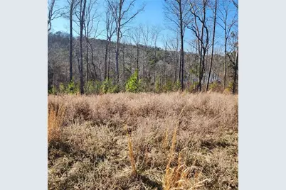 0 Lecroy Drive, Ellijay, GA 30540 - Photo 8