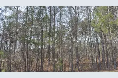 32 Duval Court, Villa Rica, GA 30180 - Photo 4