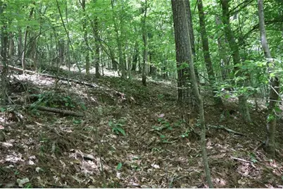 0 Parksbrook Road A, Ellijay, GA 30540 - Photo 10