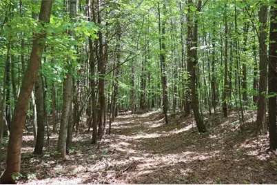 0 Parksbrook Road A, Ellijay, GA 30540 - Photo 18