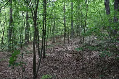 0 Parksbrook Road A, Ellijay, GA 30540 - Photo 22