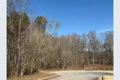 611 McDowell Lane, Bethlehem, GA 30620 - Photo 2