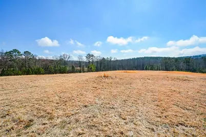 119 Inland 4 Acres Drive, Talking Rock, GA 30175 - Photo 4