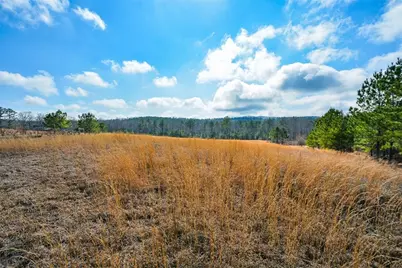 119 Inland 6 Acres Drive, Talking Rock, GA 30175 - Photo 6