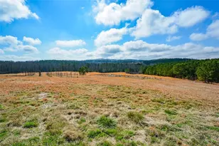 119 Inland 6 Acres Dr, Talking Rock, GA 30175 - Photo 1