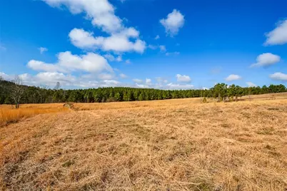 119 Inland 6 Acres Drive, Talking Rock, GA 30175 - Photo 10