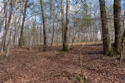 1475 Paradise Park Road, Cornelia, GA 30531 - Photo 6