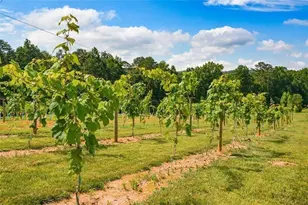 119 Inland 2 Dr, Talking Rock, GA 30175 - Photo 10