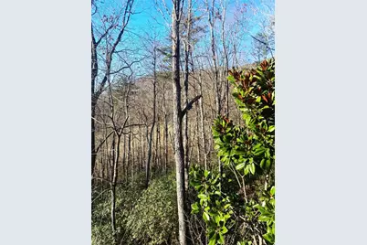 159 Prospect Trail, Cleveland, GA 30528 - Photo 40