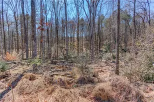 362 Dixie Red Ave, Jefferson, GA 30549 - Photo 24