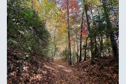 130 Cove View Lane, Clarkesville, GA 30523 - Photo 24