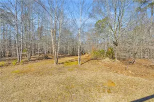 1079 Hardeman Farm Rd, Carnesville, GA 30521 - Photo 10