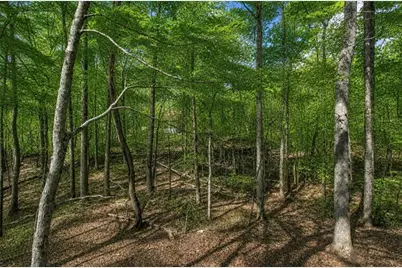 30 Tamarack Court, Jasper, GA 30143 - Photo 30