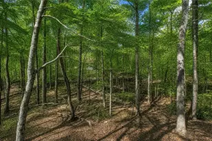 30 Tamarack Ct, Jasper, GA 30143 - Photo 30