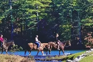 30 Tamarack Ct, Jasper, GA 30143 - Photo 74