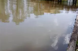 156 Montego Bay Rd NW, Milledgeville, GA 31061 - Photo 36