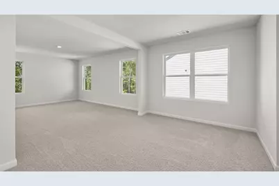 41 Capital Court, Braselton, GA 30517 - Photo 16