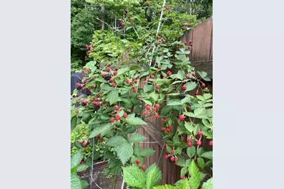 1678 Stilesboro Ridge Drive NW, Kennesaw, GA 30152 - Photo 50