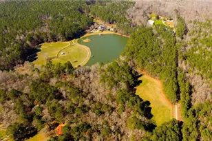 9305 Wilkerson Mill Rd, Chattahoochee Hills, GA 30268 - Photo 76