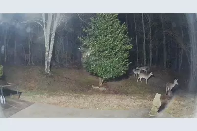 11 Nashport Lane, Dawsonville, GA 30534 - Photo 44