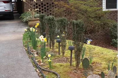 1146 Lakeshore Drive, Gainesville, GA 30501 - Photo 4