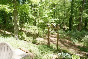 1146 Lakeshore Dr, Gainesville, GA 30501 - Photo 50