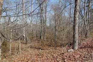 00 Alford Rd, Rome, GA 30161 - Photo 1