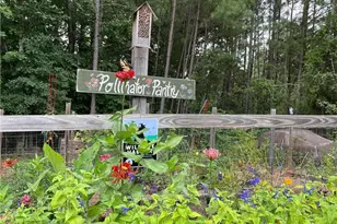 6194 Grants Ford Dr, Gainesville, GA 30506 - Photo 66