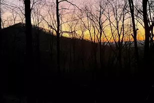 947 Skyview Dr, Ellijay, GA 30536 - Photo 28