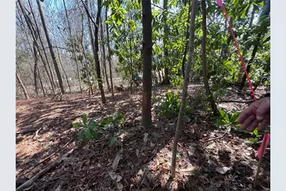 4175 Campbell Road, Snellville, GA 30039 - Photo 24