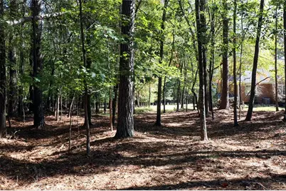 482 Buck Trail, Hoschton, GA 30548 - Photo 48