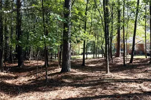 482 Buck Trail, Hoschton, GA 30548 - Photo 48