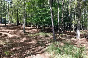 482 Buck Trail, Hoschton, GA 30548 - Photo 42