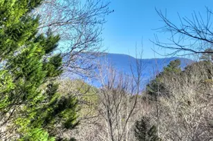 159 Victoria Dr, Blairsville, GA 30512 - Photo 24