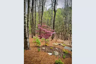 62 Cardinal Cove, Jasper, GA 30143 - Photo 36