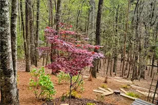 62 Cardinal Cove, Jasper, GA 30143 - Photo 36