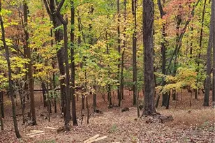 62 Cardinal Cove, Jasper, GA 30143 - Photo 44