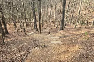 62 Cardinal Cove, Jasper, GA 30143 - Photo 36