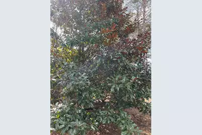 175 Loblolly Lane, Blairsville, GA 30512 - Photo 16