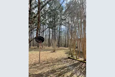 175 Loblolly Lane, Blairsville, GA 30512 - Photo 10