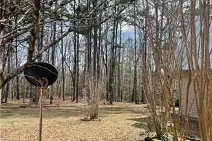 175 Loblolly Ln, Blairsville, GA 30512 - Photo 10