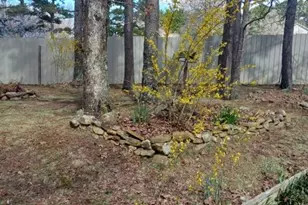 175 Loblolly Ln, Blairsville, GA 30512 - Photo 58