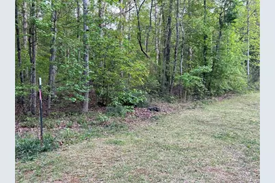 0 Goldfinch Drive, Covington, GA 30016 - Photo 2