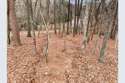 6650 Lake Run Drive, Flowery Branch, GA 30542 - Photo 2