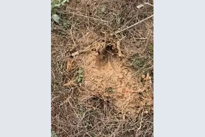 0 Rutledge Road, Acworth, GA 30101 - Photo 2