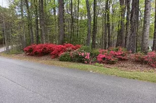 3970 Governors Cir, Loganville, GA 30052 - Photo 90