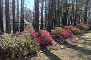 3970 Governors Cir, Loganville, GA 30052 - Photo 28